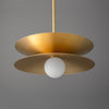 Pendant Light - Model No. 8372