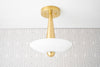 CEILING LIGHT MODEL No. 7041