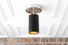 CEILING LIGHT MODEL No. 2462