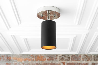 CEILING LIGHT MODEL No. 2462