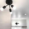 CEILING LIGHT MODEL No. 6885