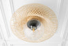 CEILING LIGHT MODEL No. 4620