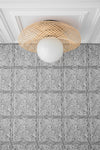 CEILING LIGHT MODEL No. 0196