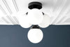 CEILING LIGHT MODEL No. 6641