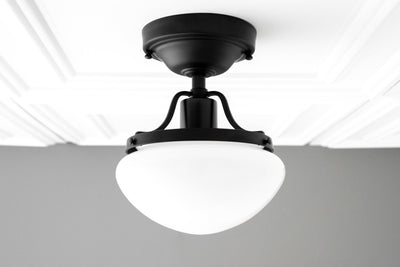 CEILING LIGHT MODEL No. 8491