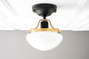 CEILING LIGHT MODEL No. 8491