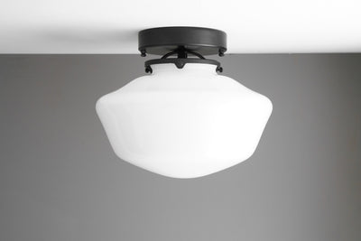 CEILING LIGHT MODEL No. 9902