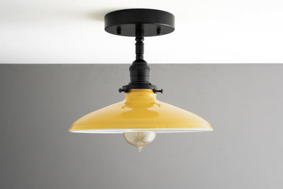 CEILING LIGHT MODEL No. 3973