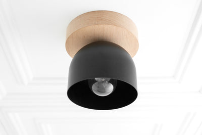 CEILING LIGHT MODEL No. 1107