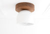 CEILING LIGHT MODEL No. 1107