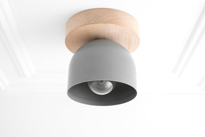 CEILING LIGHT MODEL No. 1107