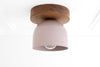 CEILING LIGHT MODEL No. 1107