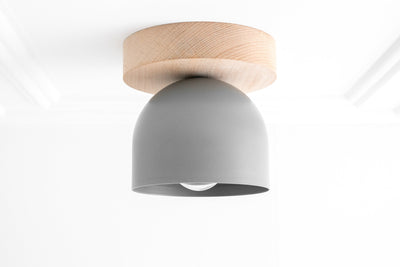 CEILING LIGHT MODEL No. 1107