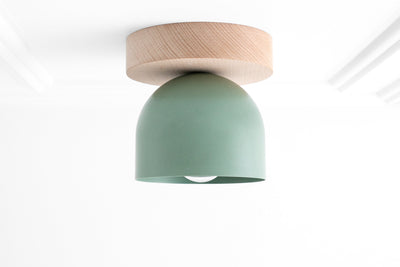 CEILING LIGHT MODEL No. 1107