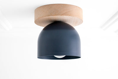 CEILING LIGHT MODEL No. 1107