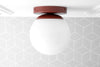 CEILING LIGHT MODEL No. 3825