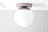 CEILING LIGHT MODEL No. 3825