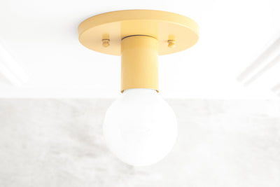 CEILING LIGHT MODEL No. 4460