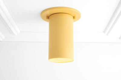 CEILING LIGHT MODEL No. 4771