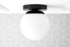 CEILING LIGHT MODEL No. 3825