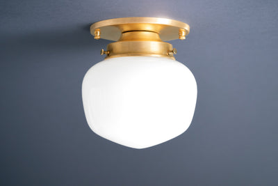 CEILING LIGHT MODEL No. 2019