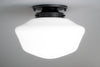 CEILING LIGHT MODEL No. 4339