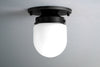 CEILING LIGHT MODEL No. 9535