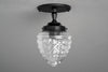 Ceiling Light Model No. 9860