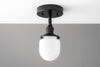 Ceiling Light Model No. 7256