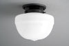 Ceiling Light Model No. 6824