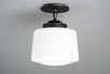 CEILING LIGHT MODEL No. 8224