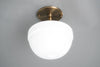 Ceiling Light Model No. 9530