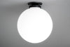 CEILING LIGHT MODEL No. 9017